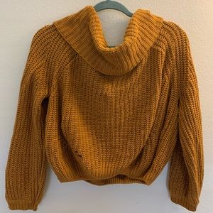 Cropped knit turtle neck